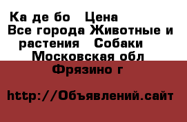 Ка де бо › Цена ­ 25 000 - Все города Животные и растения » Собаки   . Московская обл.,Фрязино г.